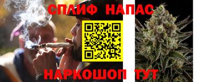 гашик Кинель
