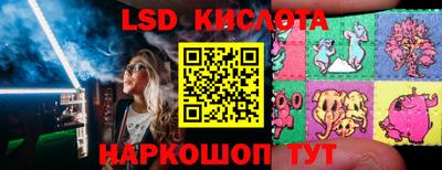 гашик Кинель