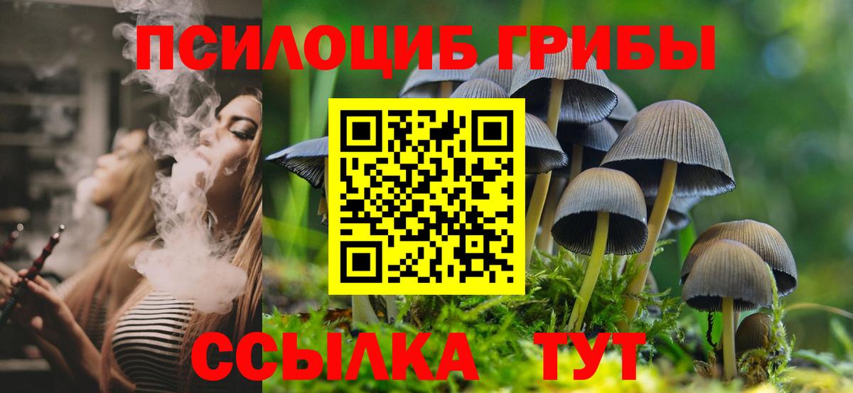 Псилоцибиновые грибы Psilocybe  Вход с VPN  Галлюциногенные грибы Psilocybe  Арзамас 